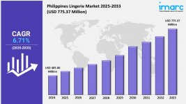 Philippines Lingerie Market.jpg
