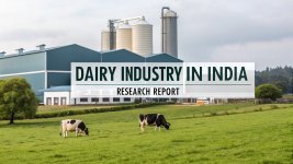 Dairy Industry in India Market.jpg Dairy Industry in India Market.jpg